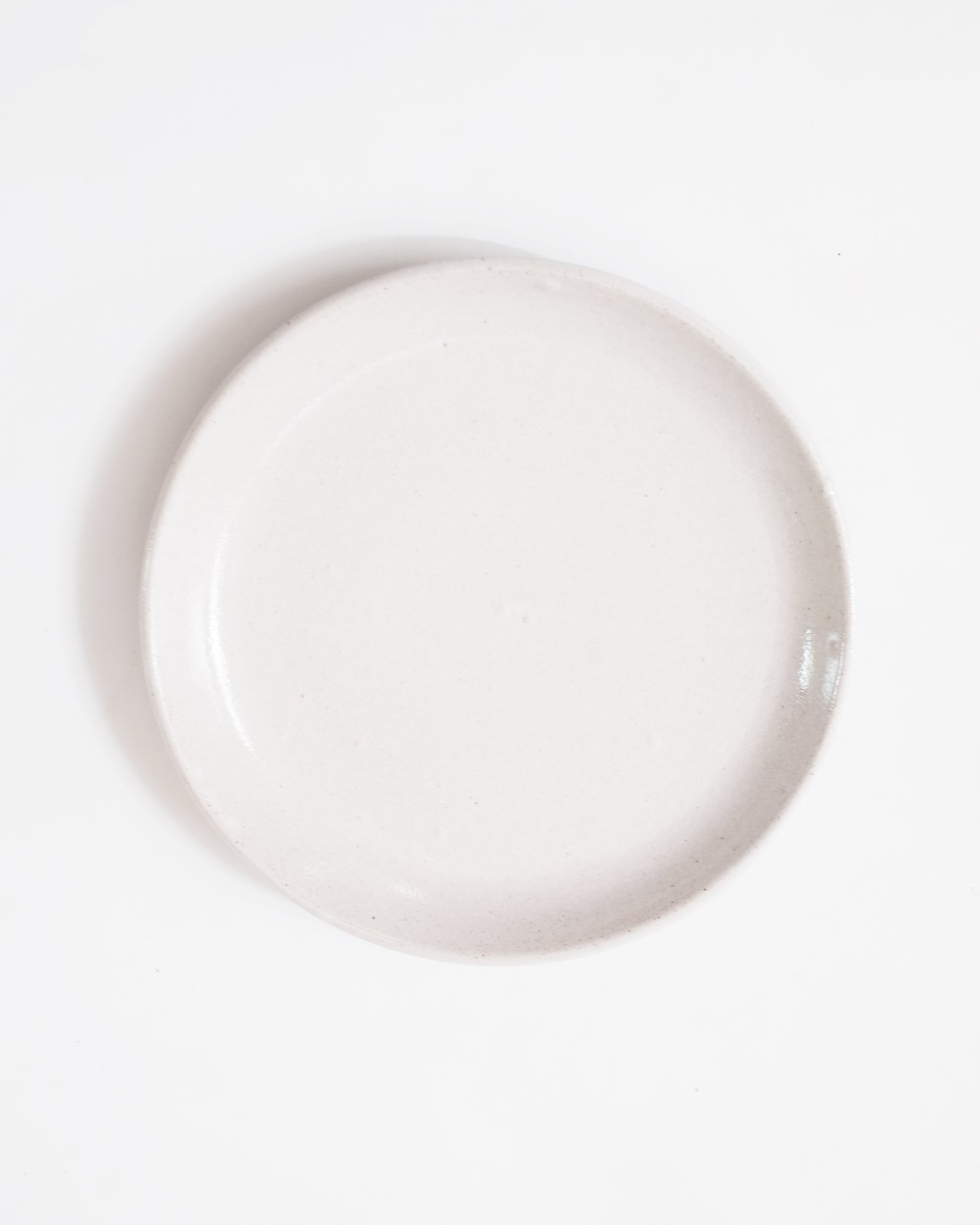 White Speckled Plate