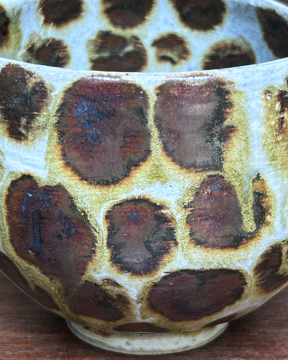 Jungle Katakuchi #16026