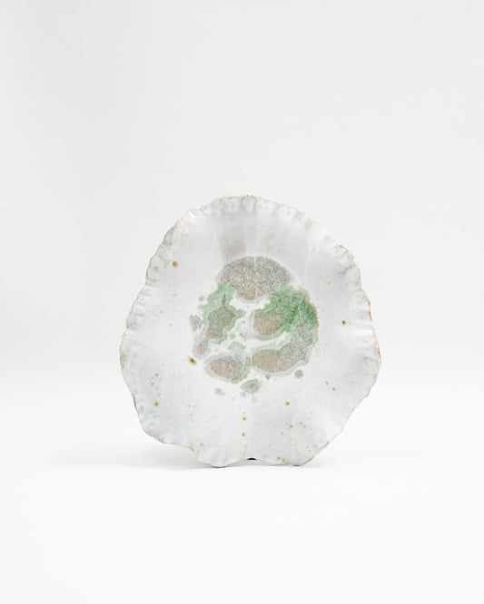 Shell Plate