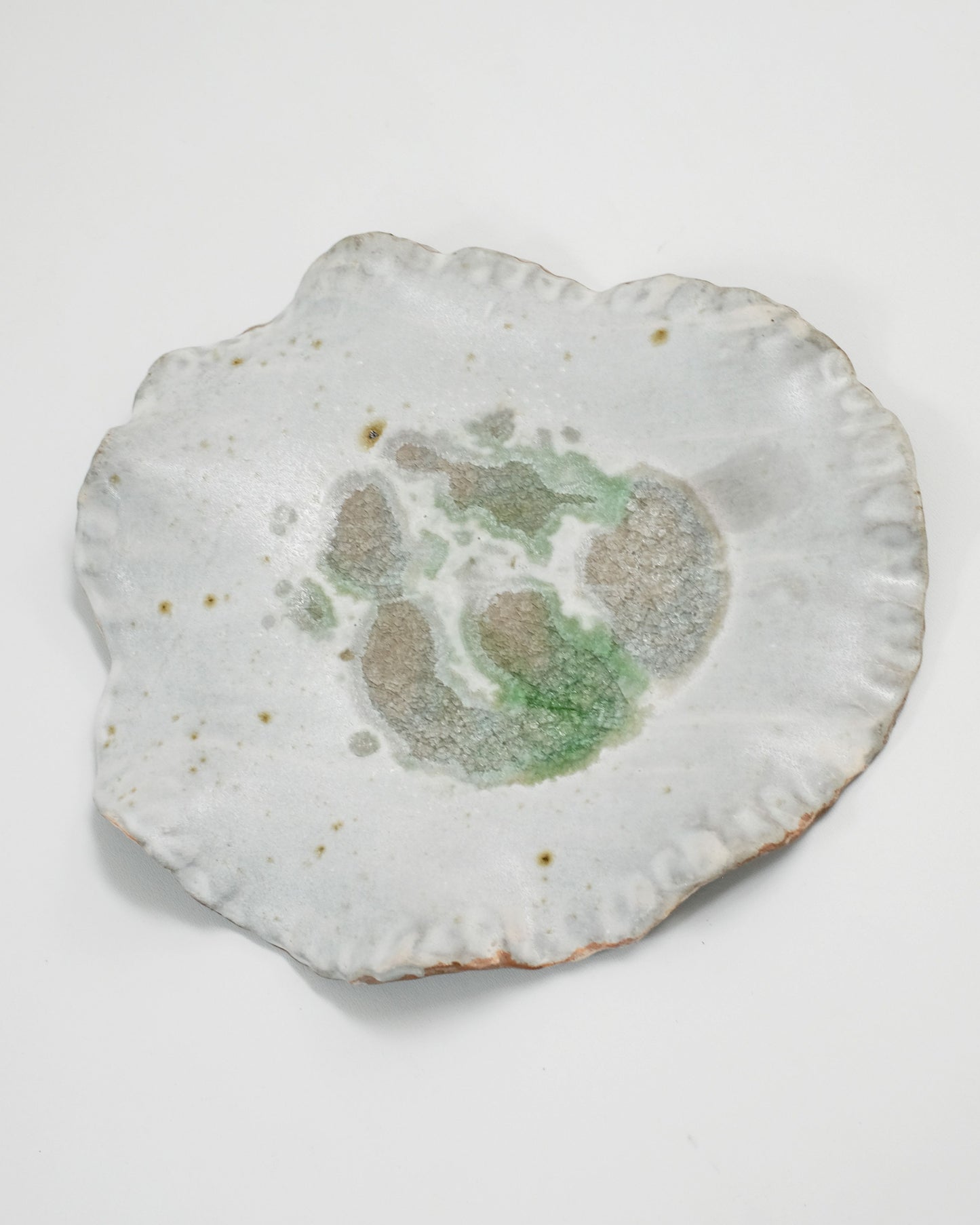 Shell Plate